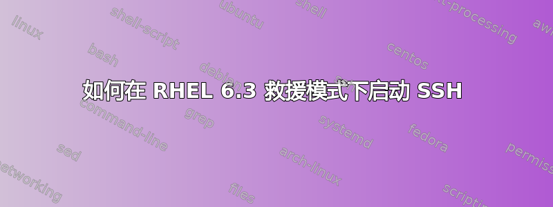 如何在 RHEL 6.3 救援模式下启动 SSH