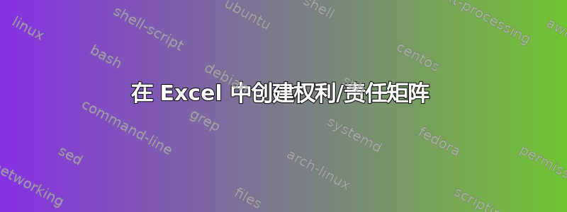 在 Excel 中创建权利/责任矩阵