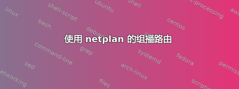 使用 netplan 的组播路由