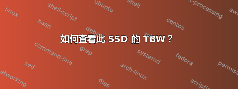 如何查看此 SSD 的 TBW？