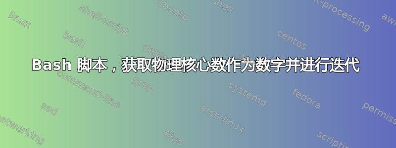 Bash 脚本，获取物理核心数作为数字并进行迭代