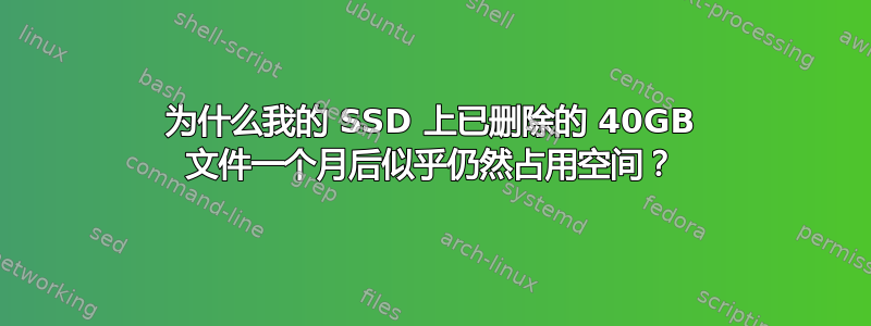 为什么我的 SSD 上已删除的 40GB 文件一个月后似乎仍然占用空间？