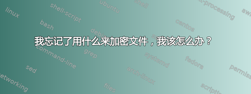 我忘记了用什么来加密文件，我该怎么办？