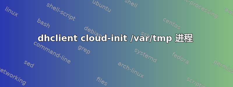 dhclient cloud-init /var/tmp 进程