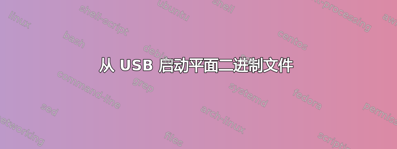 从 USB 启动平面二进制文件