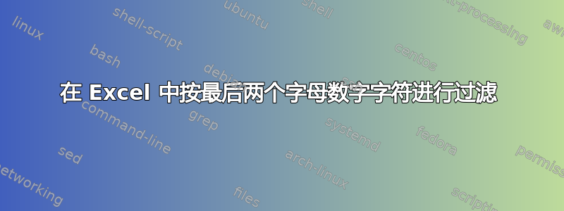 在 Excel 中按最后两个字母数字字符进行过滤