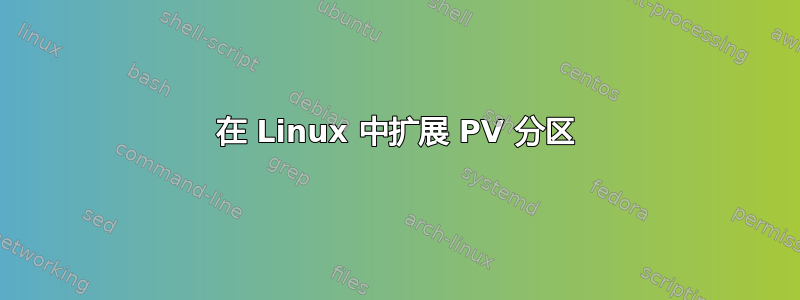 在 Linux 中扩展 PV 分区