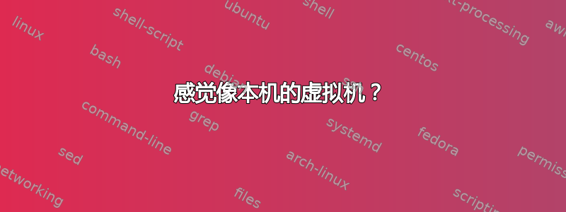 感觉像本机的虚拟机？