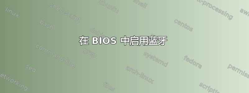 在 BIOS 中启用蓝牙