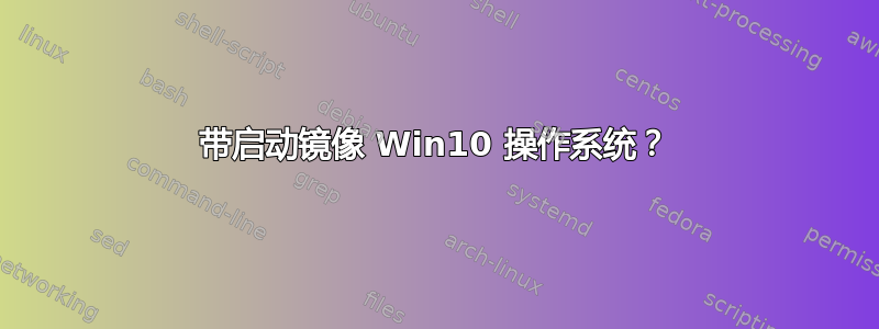 带启动镜像 Win10 操作系统？