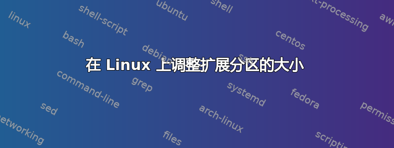 在 Linux 上调整扩展分区的大小