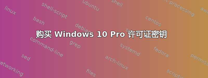 购买 Windows 10 Pro 许可证密钥 