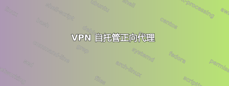 VPN 自托管正向代理