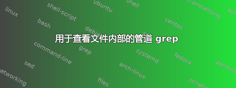 用于查看文件内部的管道 grep