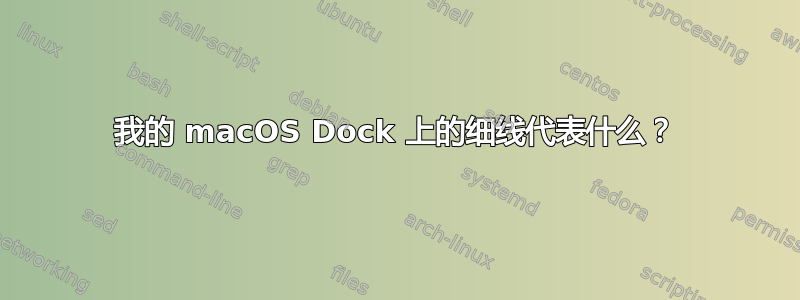我的 macOS Dock 上的细线代表什么？