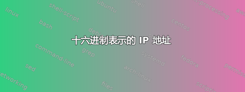 十六进制表示的 IP 地址