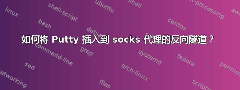 如何将 Putty 插入到 socks 代理的反向隧道？