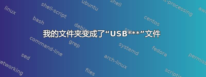 我的文件夹变成了“USB***”文件