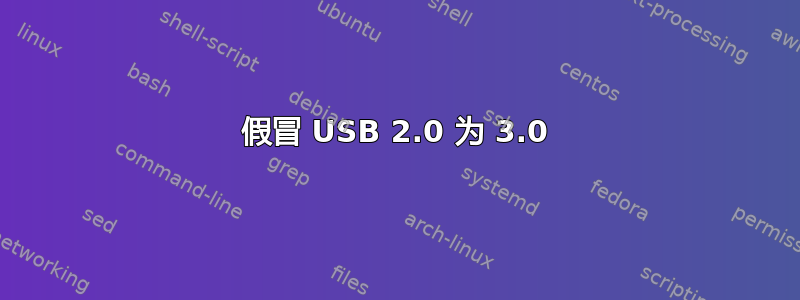 假冒 USB 2.0 为 3.0