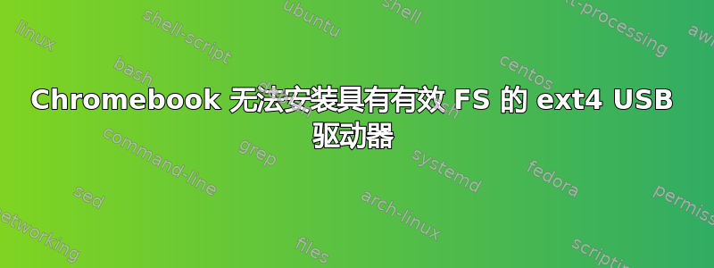 Chromebook 无法安装具有有效 FS 的 ext4 USB 驱动器