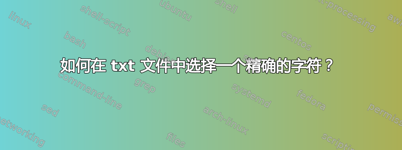 如何在 txt 文件中选择一个精确的字符？