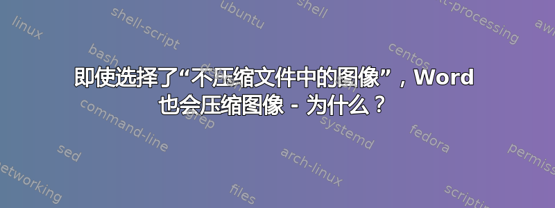 即使选择了“不压缩文件中的图像”，Word 也会压缩图像 - 为什么？