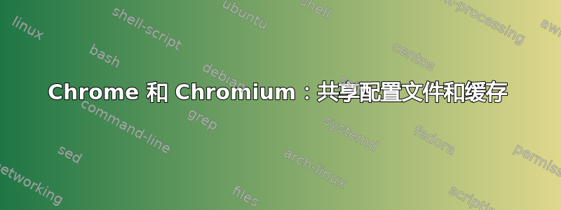 Chrome 和 Chromium：共享配置文件和缓存