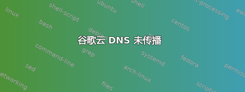 谷歌云 DNS 未传播 