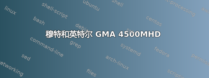 穆特和英特尔 GMA 4500MHD