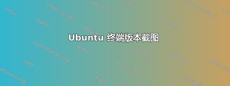 Ubuntu 终端版本截图