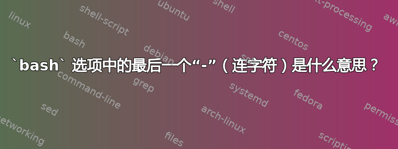 `bash` 选项中的最后一个“-”（连字符）是什么意思？