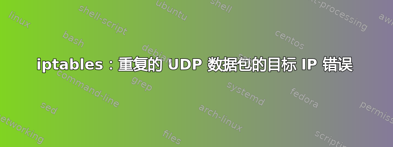 iptables：重复的 UDP 数据包的目标 IP 错误