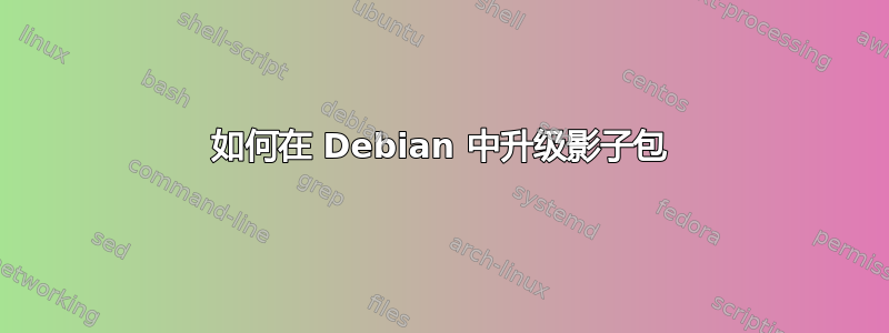 如何在 Debian 中升级影子包