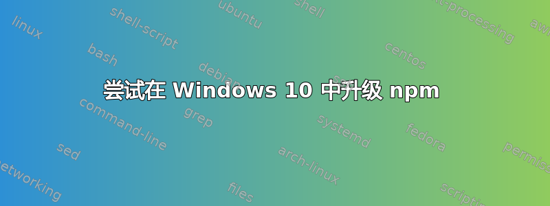 尝试在 Windows 10 中升级 npm