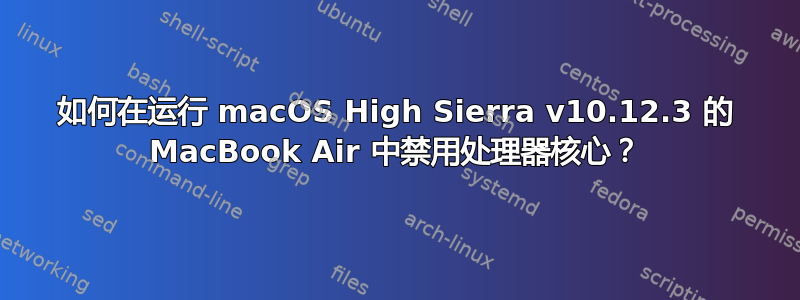 如何在运行 macOS High Sierra v10.12.3 的 MacBook Air 中禁用处理器核心？