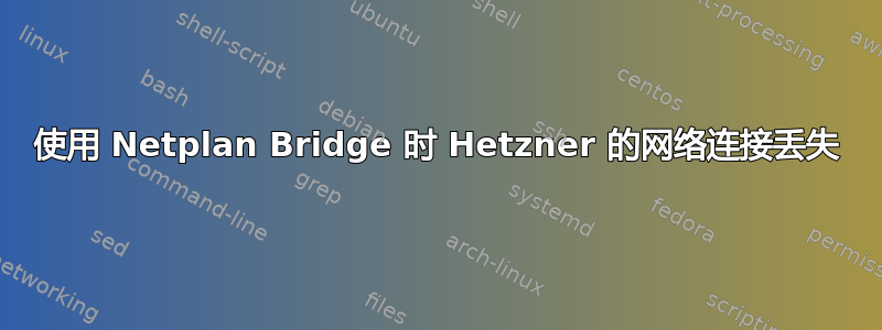 使用 Netplan Bridge 时 Hetzner 的网络连接丢失