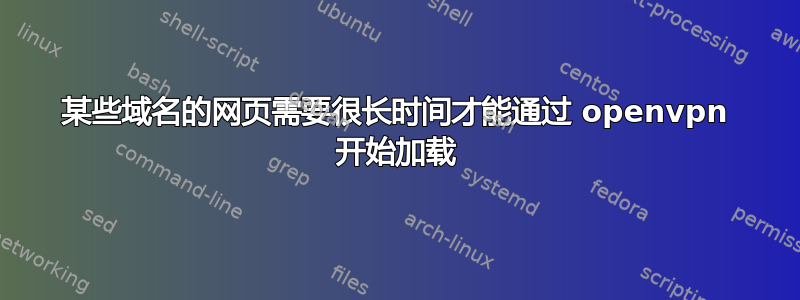 某些域名的网页需要很长时间才能通过 openvpn 开始加载