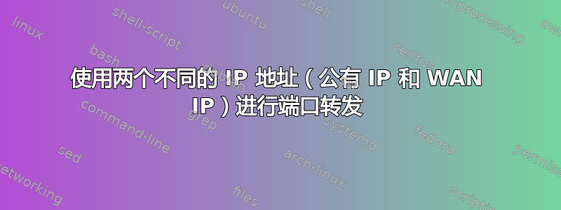 使用两个不同的 IP 地址（公有 IP 和 WAN IP）进行端口转发