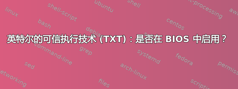 英特尔的可信执行技术 (TXT)：是否在 BIOS 中启用？