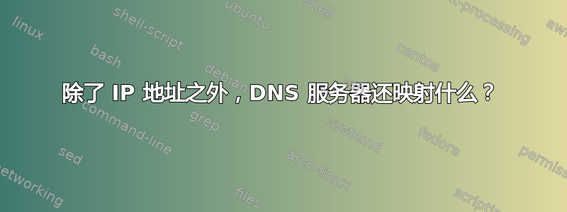 除了 IP 地址之外，DNS 服务器还映射什么？