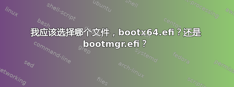 我应该选择哪个文件，bootx64.efi？还是 bootmgr.efi？