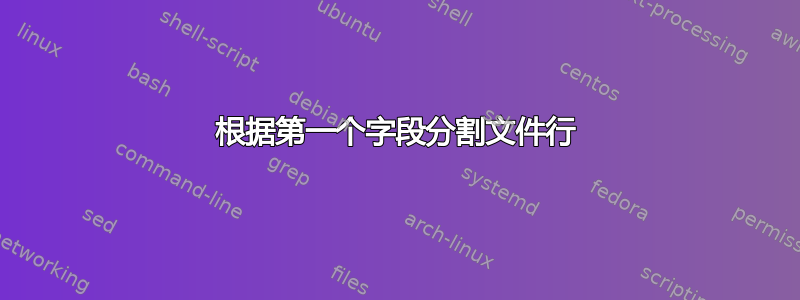 根据第一个字段分割文件行