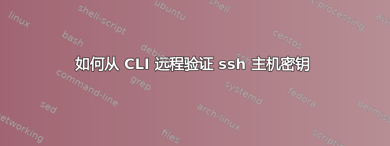 如何从 CLI 远程验证 ssh 主机密钥