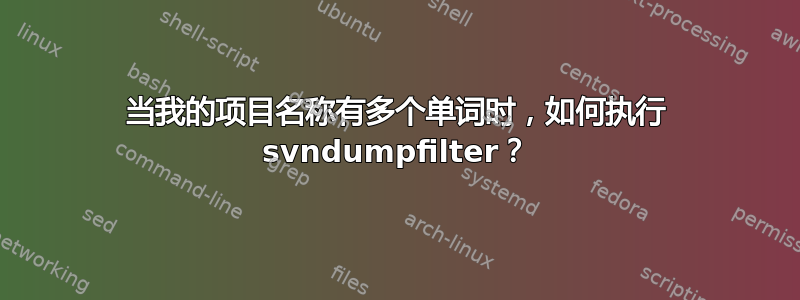 当我的项目名称有多个单词时，如何执行 svndumpfilter？