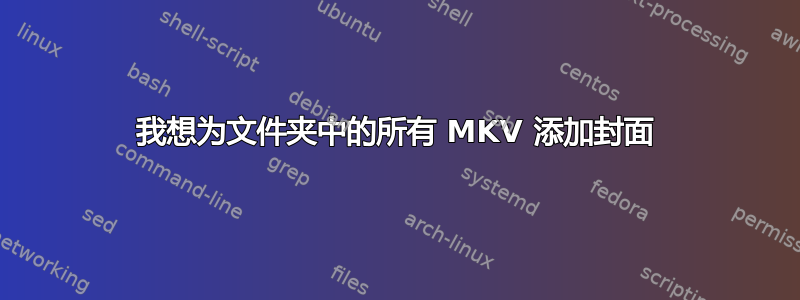 我想为文件夹中的所有 MKV 添加封面