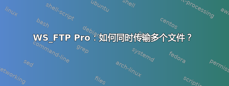 WS_FTP Pro：如何同时传输多个文件？