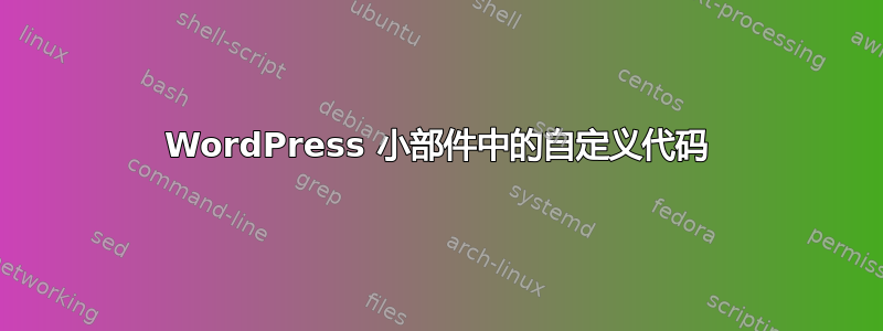 WordPress 小部件中的自定义代码