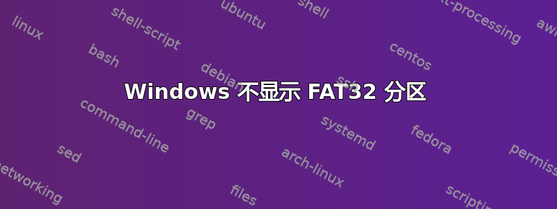 Windows 不显示 FAT32 分区