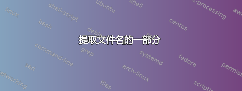 提取文件名的一部分