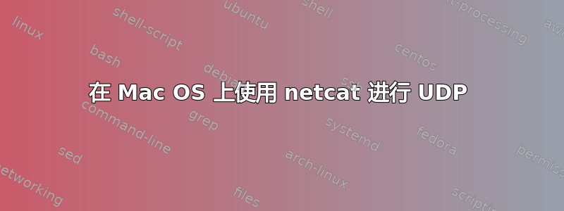 在 Mac OS 上使用 netcat 进行 UDP